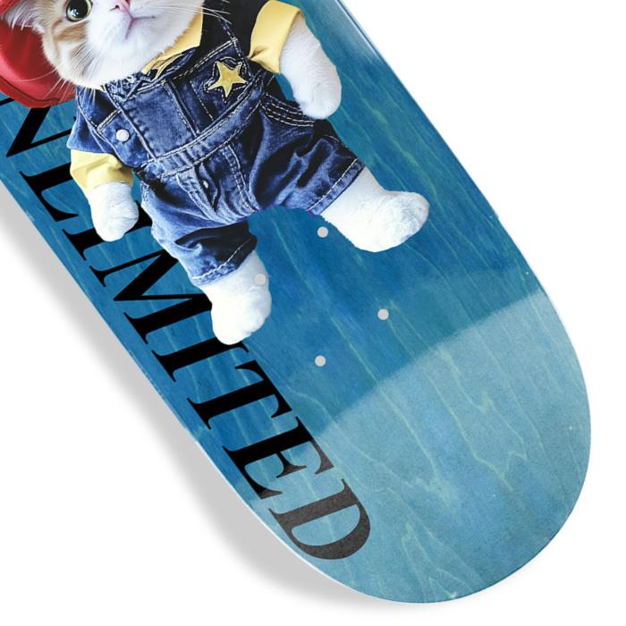 ROOKIE SKATEBOARDS JAIME REYES デッキ REAL JAIME REYES ACTION REALIZED DECK (8.25 x 32inch) リアル