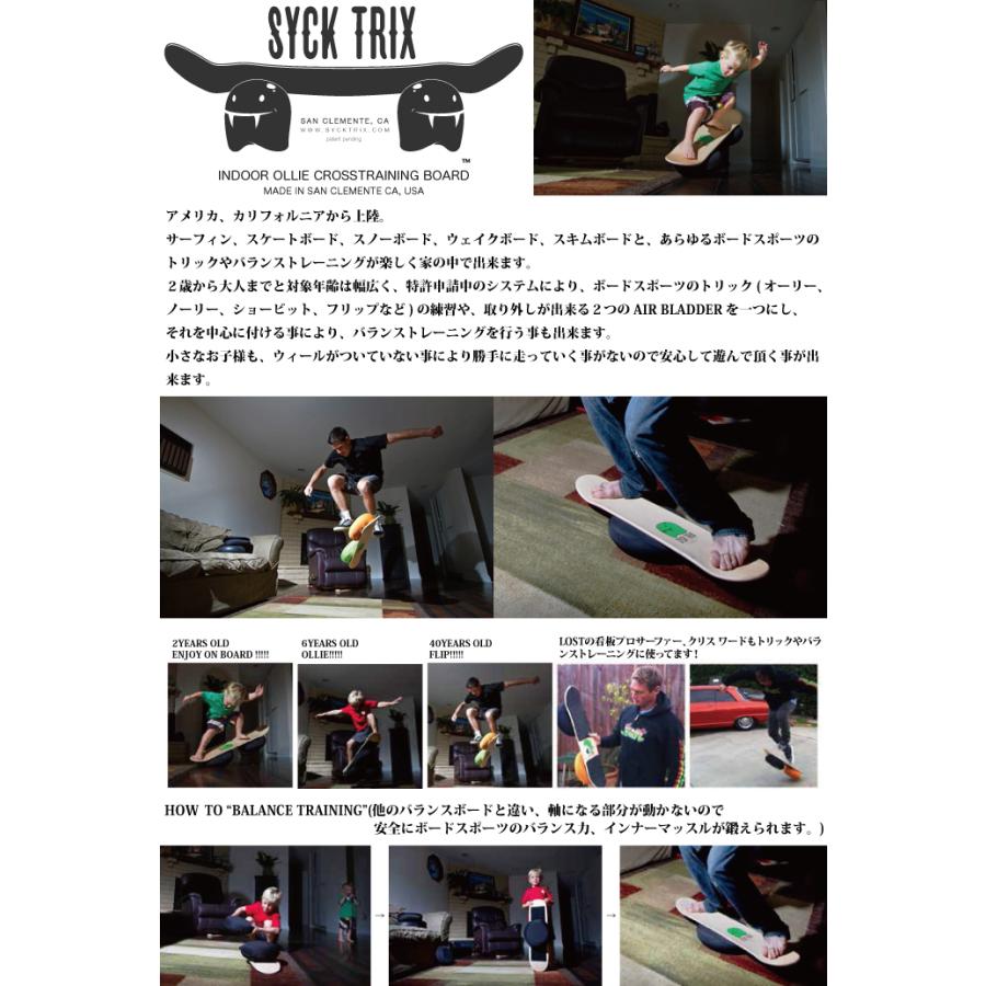 SYCK TRIX シックトリックス サーフィン スノーボード トレーニング |  | 01