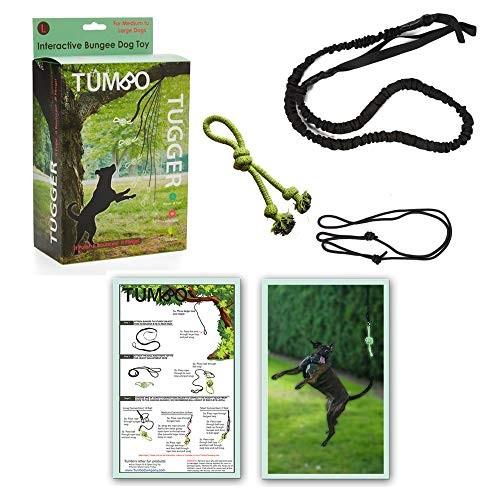犬手あそび ドッグトイ 形づくる LDBUNGEE Tumbo Tugger - Dog Tree Hanging Bungee Tug Toy for