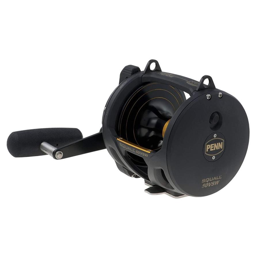 リール ペン Penn 1292938 PENN 1292938 Squall Lever Drag 2-Speed Trolling Fishing Reel, 890/50, black, IGFの画像