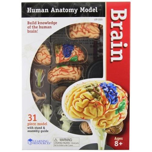 知育玩具 パズル ブロック LER3335 Learning Resources Brain Model 3.75 inches