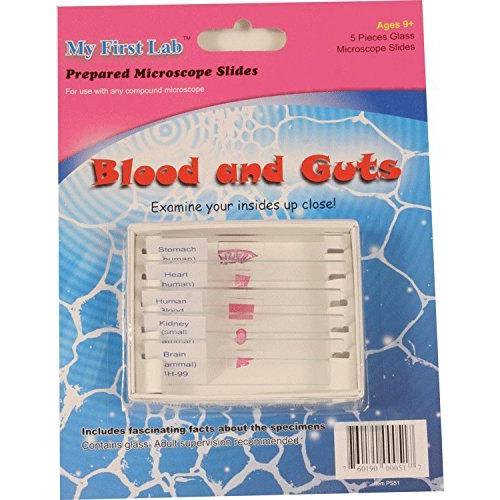 マイファーストラボ 知育玩具 科学 PS51 Microscope Prepared Slide Set - Blood & Guts (5 Slides)