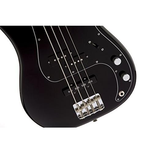 どろ除け 電気ギター軍事基地 外国で直輸入 0190085806 Fender Tony Franklin Precision Bass, Black, Fret