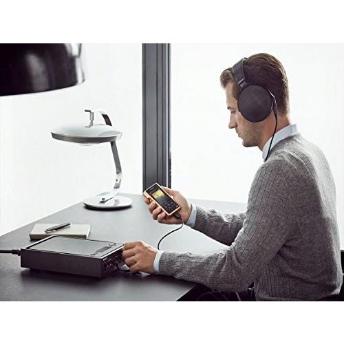 海外輸入ヘッドホン ヘッドフォン イヤホン MDRZ1R Sony MDRZ1R Signature, Hi-Res Headphone, Blの画像