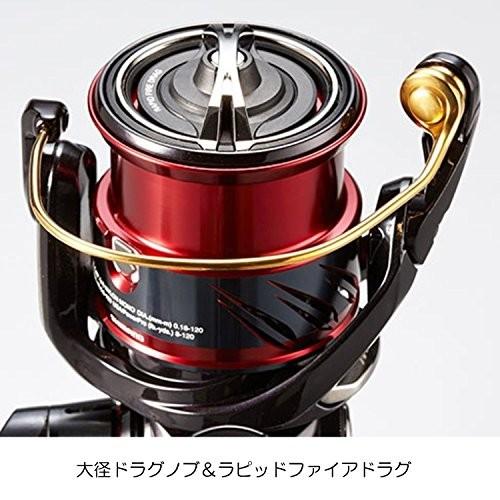 SHIMANO - MEHA　シマノ セフィアci4+ C3000SDH HG シマノ(SHIMANO) 17 セフィアCI4+ C3000SDH ☆特別処分割引品
