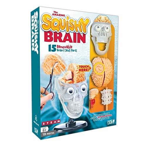 知育玩具 パズル ブロック 09288 SmartLab Toys The Amazing Squishy Brain