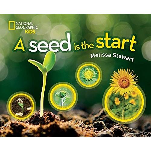 在庫有 海外製絵本 知育 英語 Illustrated A Seed Is The Start National Geographic Kids 高い素材 Zoetalentsolutions Com