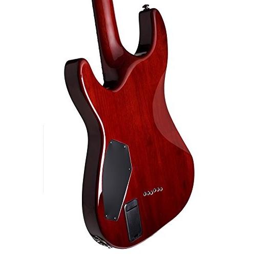 シェクター エレキギター 海外直輸入 1794 Schecter Hellraiser C-1 FR