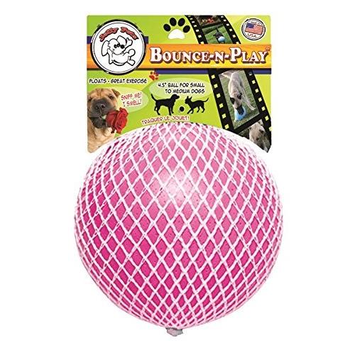 FORZA10 エコーアクティブ ミディアム（中粒）10kg【フォルツァ