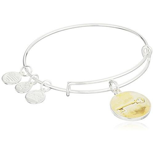 アレックスアンドアニ アメリカ アクセサリー A16EBSKSS Alex and Ani Art Infusion Skeleton Ke