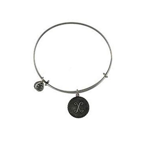 アレックスアンドアニ アメリカ アクセサリー A08EB91XS Alex and Ani 
