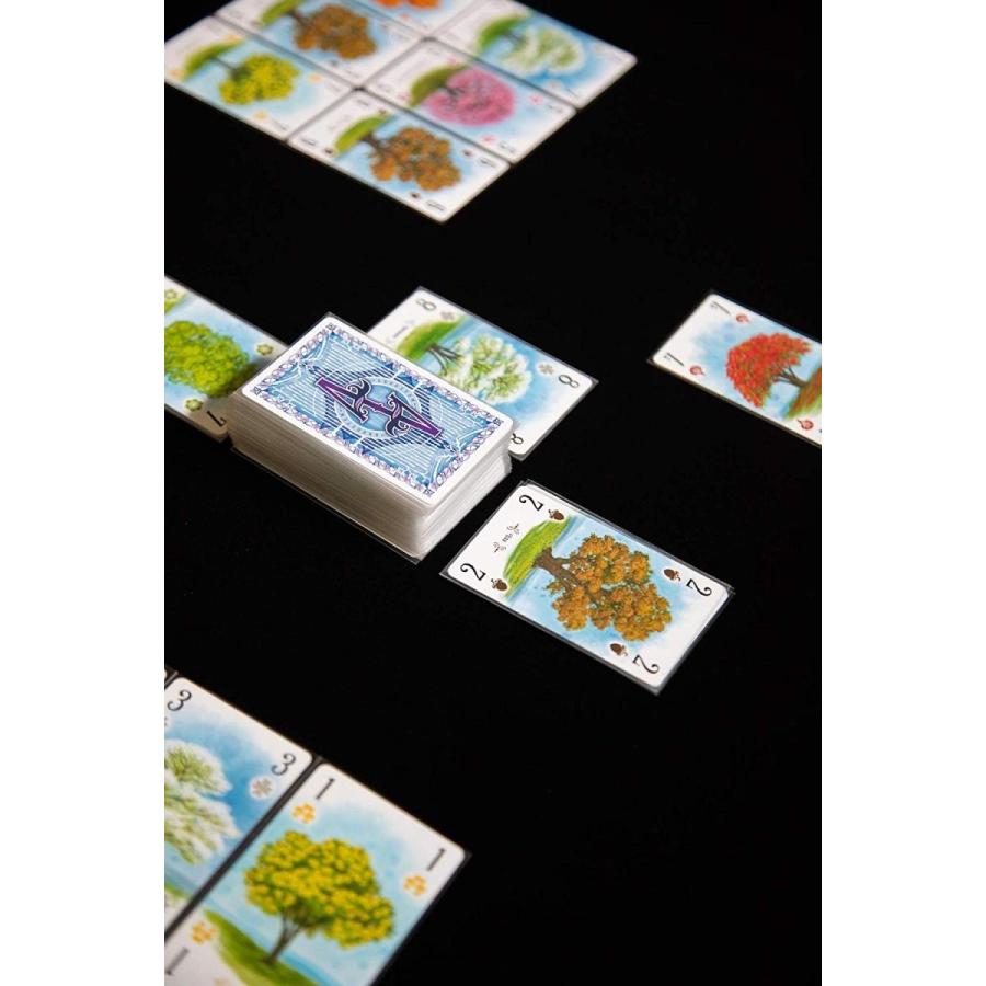 ボードゲーム 英語 アメリカ RGS00830 Renegade Game Studios Arboretum Strategy Card Game That Challeの画像