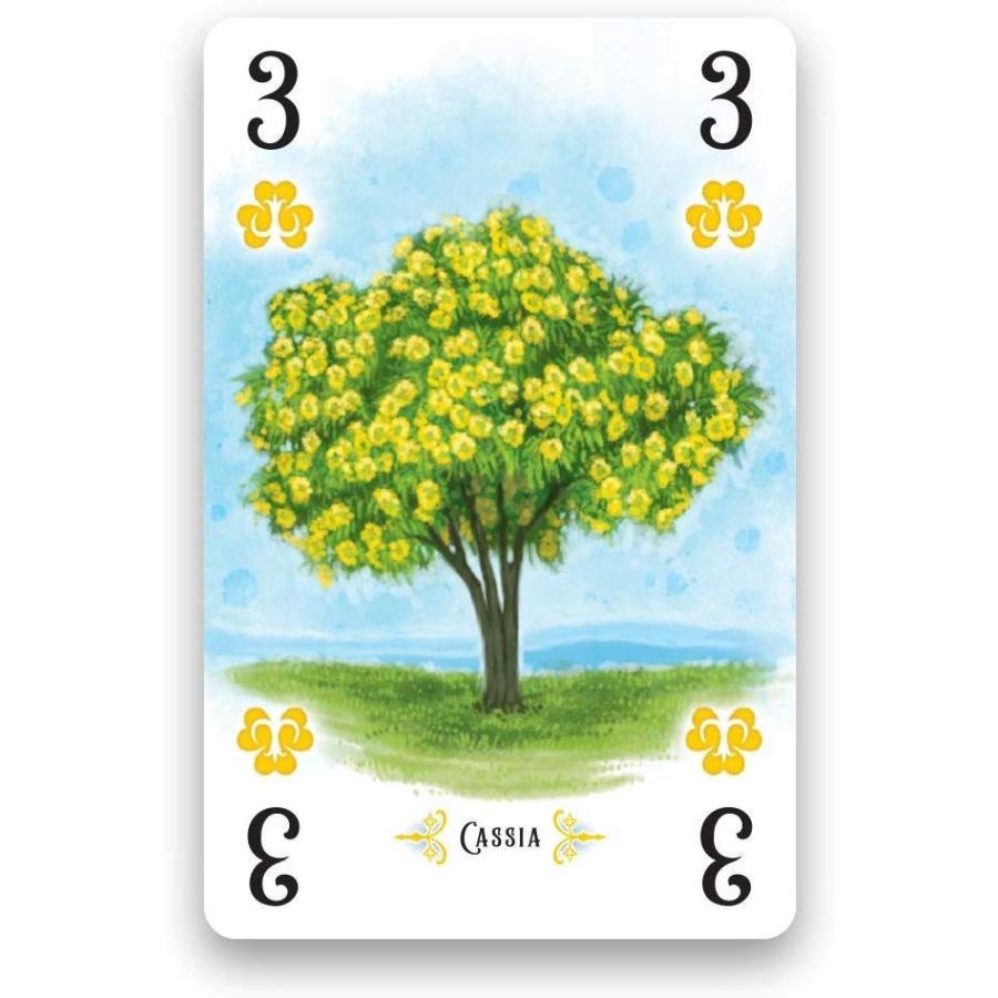 ボードゲーム 英語 アメリカ RGS00830 Renegade Game Studios Arboretum Strategy Card Game That Challeの画像