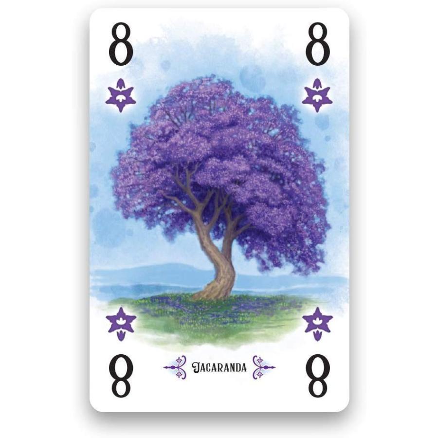 ボードゲーム 英語 アメリカ RGS00830 Renegade Game Studios Arboretum Strategy Card Game That Challeの画像