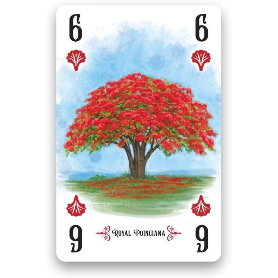 ボードゲーム 英語 アメリカ RGS00830 Renegade Game Studios Arboretum Strategy Card Game That Challeの画像