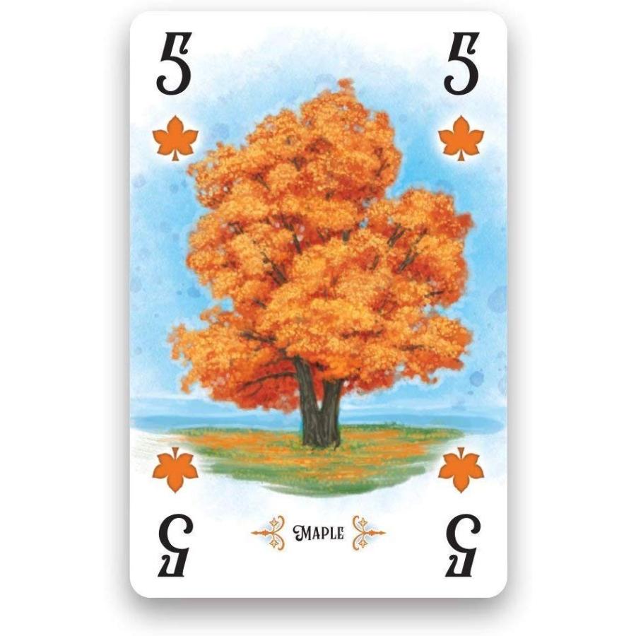 ボードゲーム 英語 アメリカ RGS00830 Renegade Game Studios Arboretum Strategy Card Game That Challeの画像