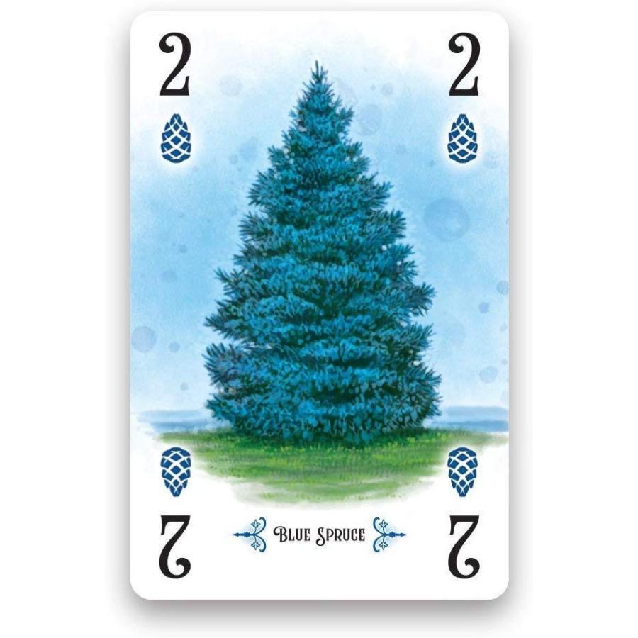ボードゲーム 英語 アメリカ RGS00830 Renegade Game Studios Arboretum Strategy Card Game That Challeの画像