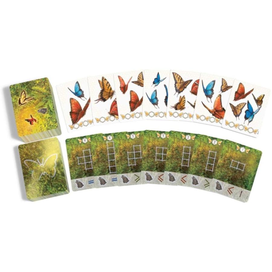 ボードゲーム 英語 アメリカ NSK025 Board \u0026 Dice Dust in The Wingsの画像