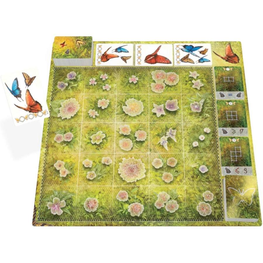ボードゲーム 英語 アメリカ NSK025 Board \u0026 Dice Dust in The Wingsの画像