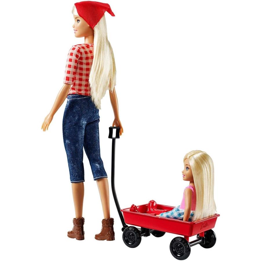 バービー バービー人形 GCK84 Barbie GCK84 Sweet Orchard Farm Dolls and Accessories_5