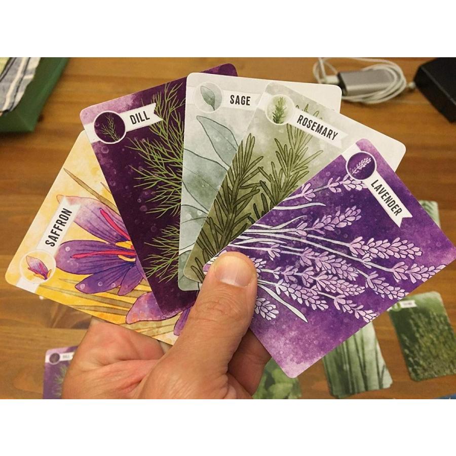 ボードゲーム 英語 アメリカ pfx500 Pencil First Games Herbaceous Card Game ? A Flavorful Set Collの画像
