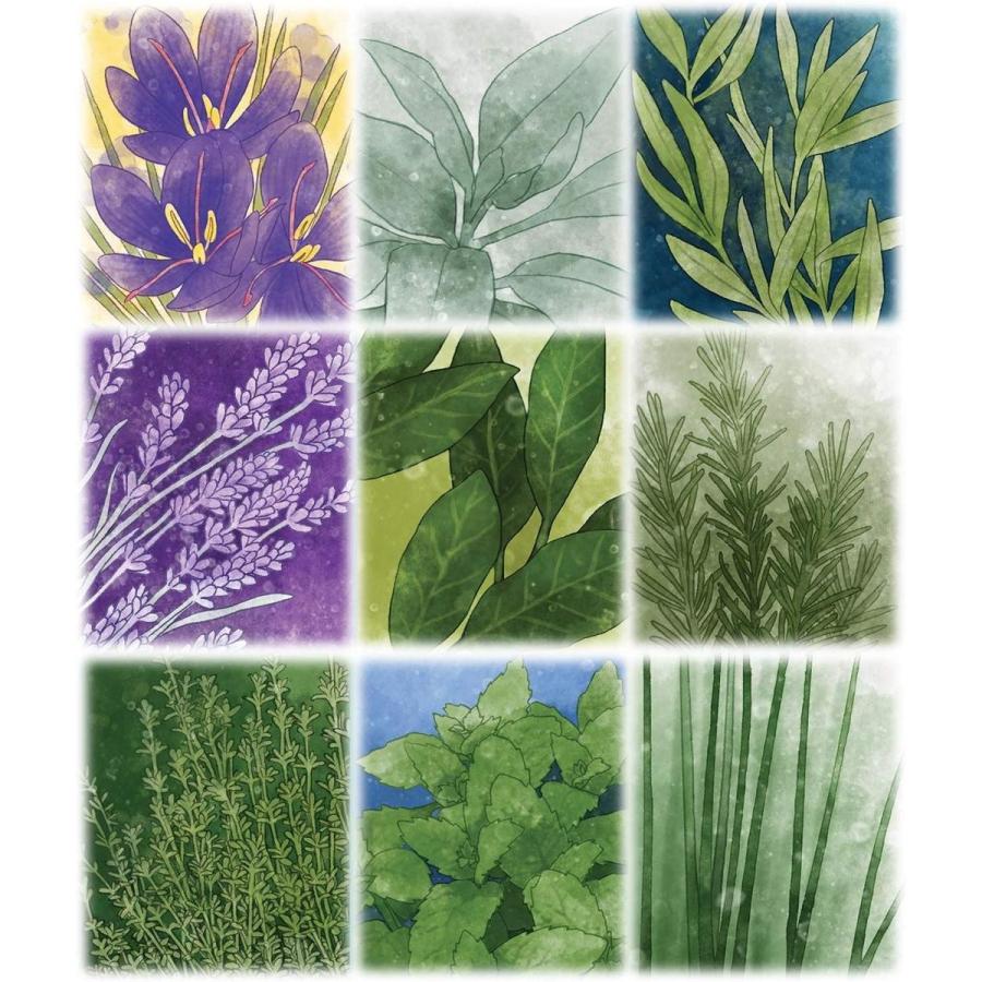ボードゲーム 英語 アメリカ pfx500 Pencil First Games Herbaceous Card Game ? A Flavorful Set Collの画像