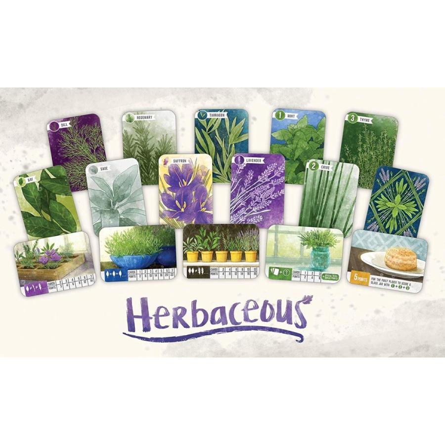 ボードゲーム 英語 アメリカ pfx500 Pencil First Games Herbaceous Card Game ? A Flavorful Set Collの画像