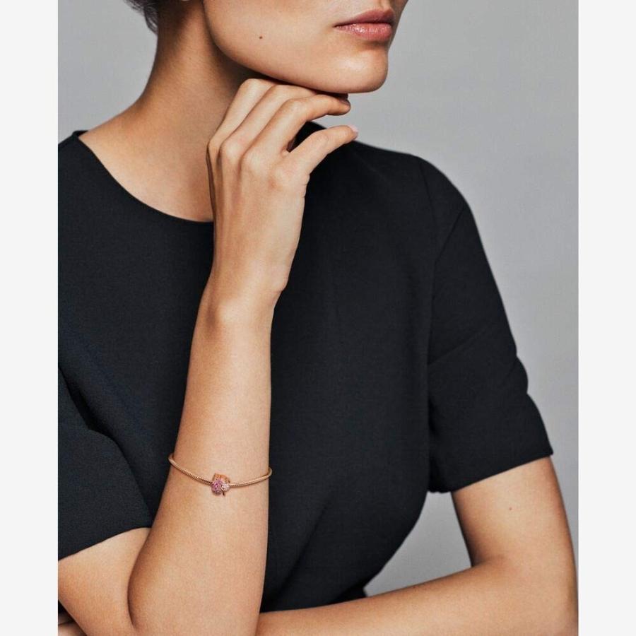 パンドラ ブレスレット チャーム 788322NPMMX PANDORA Jewelry