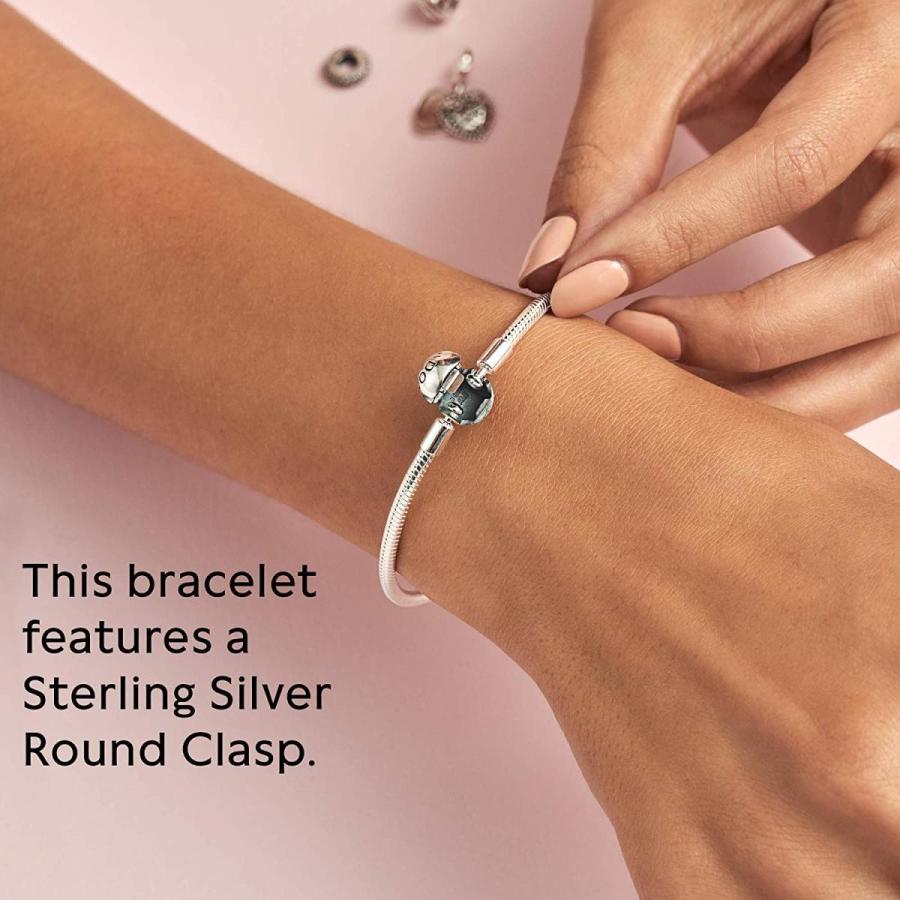 パンドラ ブレスレット チャーム 590728-17 Pandora Jewelry