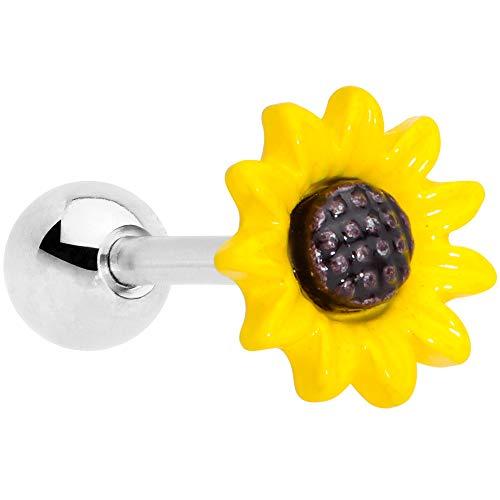 ボディキャンディー ボディピアス アメリカ 68353 Body Candy 16G Womens 316L Stainless Steel Y
