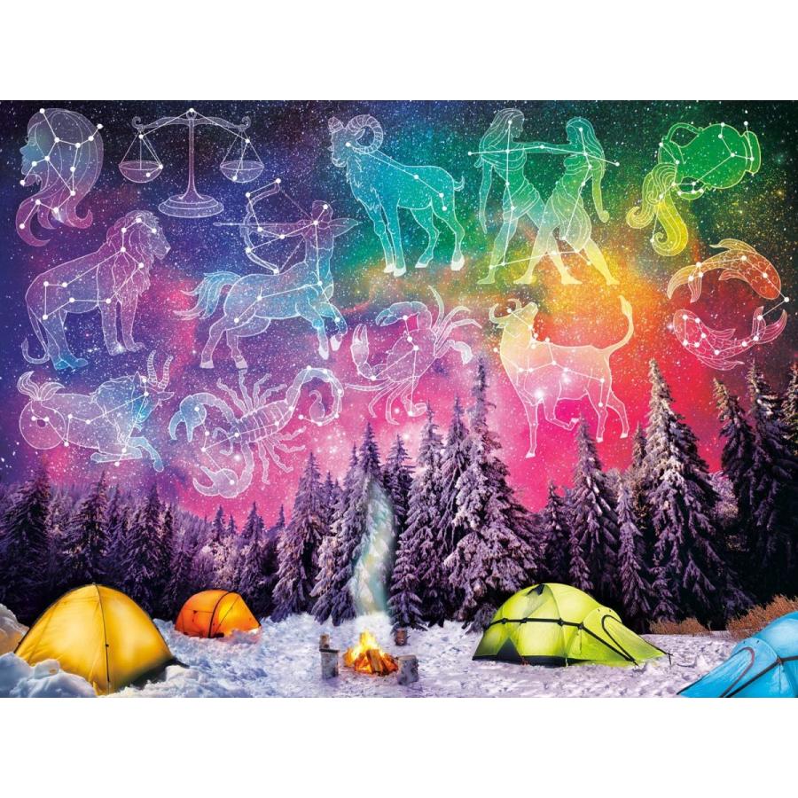 ジグソーパズル 海外製 アメリカ 2402 Buffalo Games - Written in The Stars - 1500 Piece Winter Jig