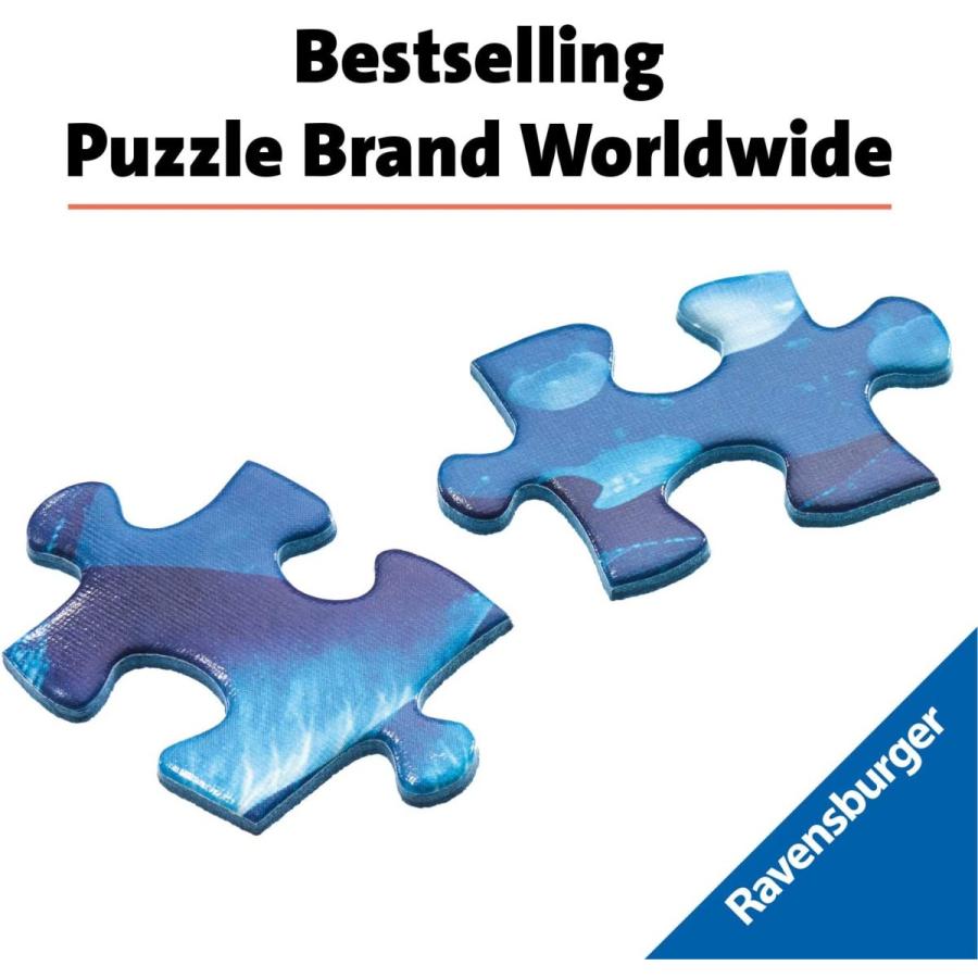 ジグソーバズル 海外製 3000ピース オセアニックワンダーズ サイズ約