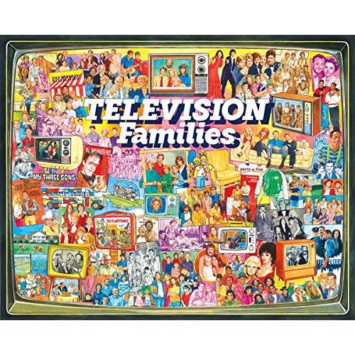 ジグソーパズル 海外製 1000ピース TVファミリー 絵画・アート 完成サイズ約61x76センチ White Mountain
