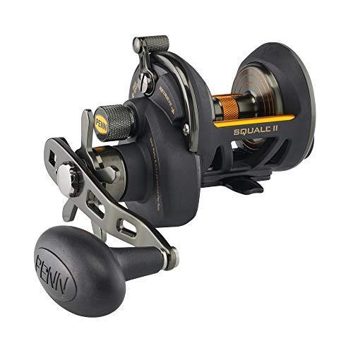 リール ペン Penn SQLII12SD PENN Fishing Squall II Star Drag Conventional Fishing Reel, Black Gold
