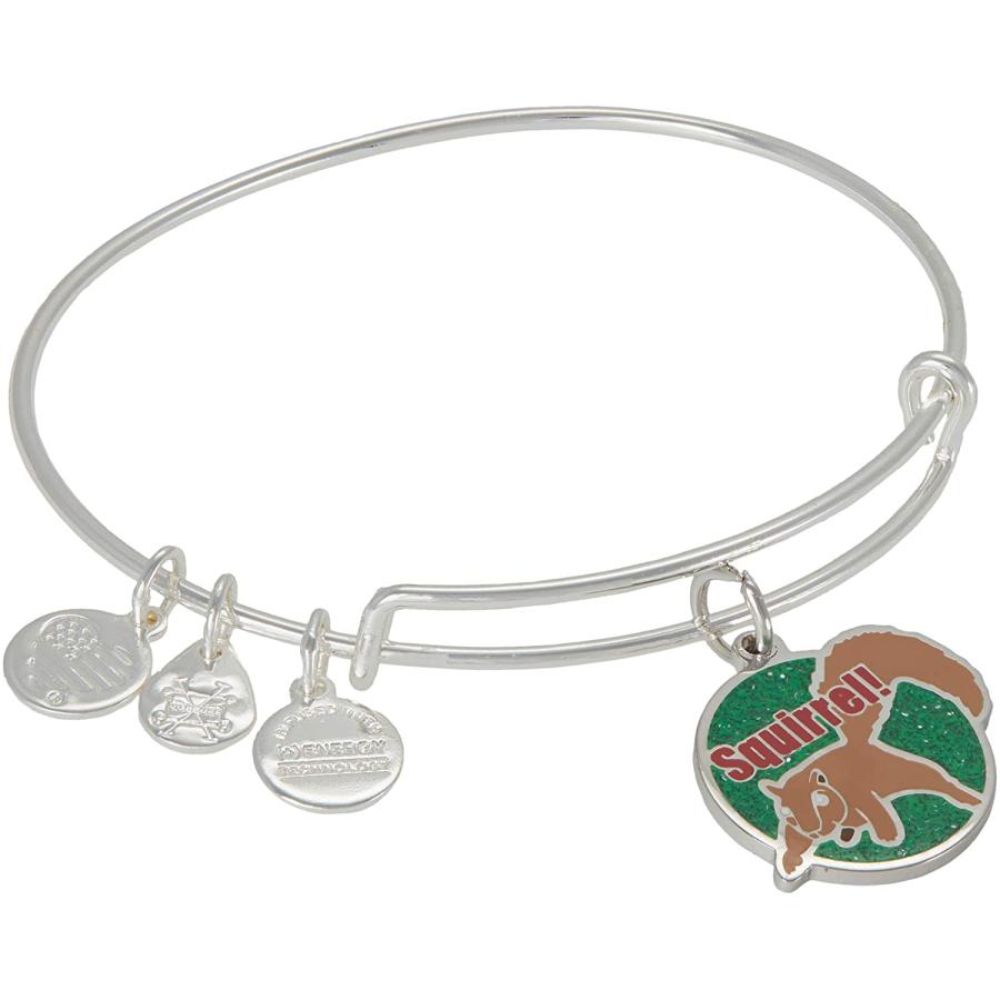 新規購入 アレックスアンドアニ アメリカ アクセサリー Alex And Ani Christmas Vacation Squirrel Bangle 最新コレックション World Of Heating De