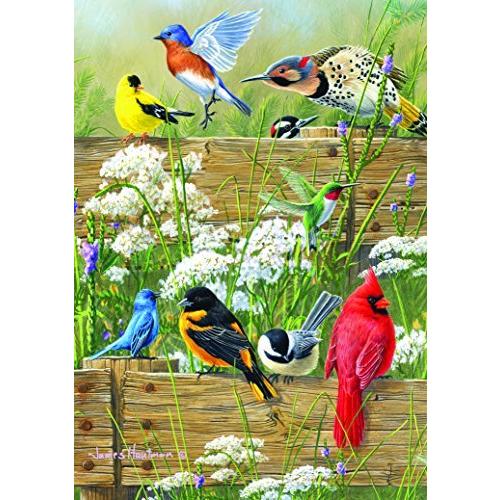 ジグソーパズル 海外製 1000ピース ソングバード メナジェリー ハウトマンブラザーズ サイズ約68x