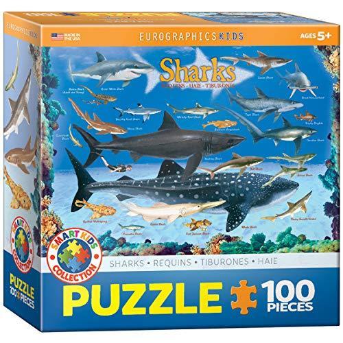 ジグソーパズル 海外製 アメリカ 6100-0079 Sharks 100 Piece Jigsaw Puzzle