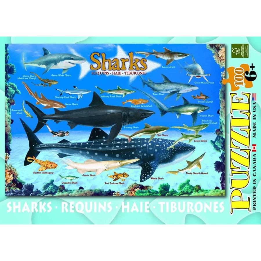 ジグソーパズル 海外製 アメリカ 6100-0079 Sharks 100 Piece Jigsaw Puzzle_3