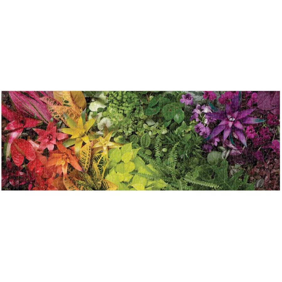 ジグソーパズル 海外製 アメリカ 9780735365292 Galison Plant Life Panoramic Puzzle， 1000 Pieces， 3_2