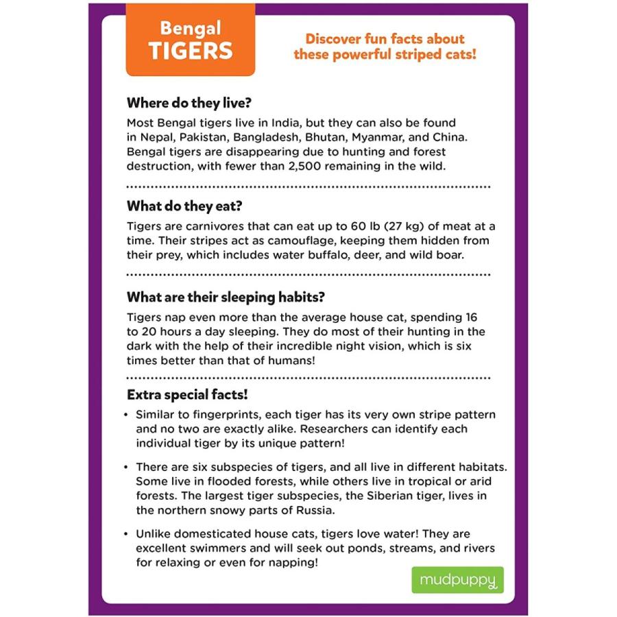 ジグソーパズル 海外製 アメリカ 735357161 Mudpuppy Bengal Tiger ? Mini Puzzle Featuring Vibrant_4