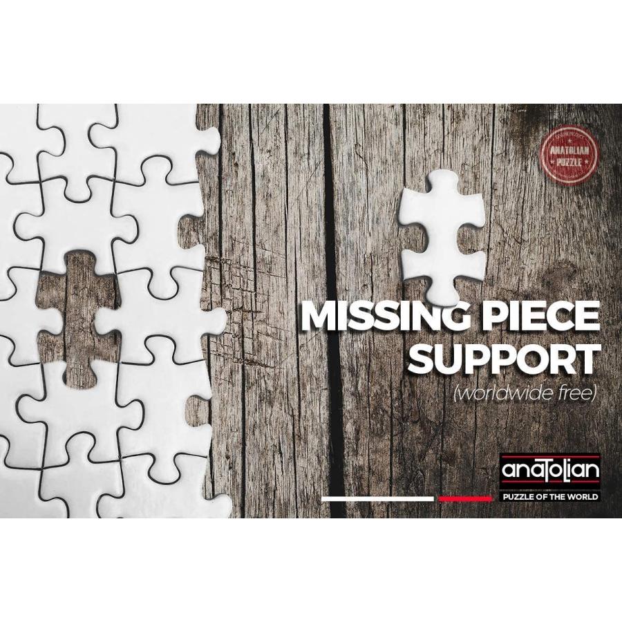 ジグソーパズル 海外製 アメリカ 4557 Anatolian Puzzle -European World 1500 Piece Jigsaw Puzzle #の画像