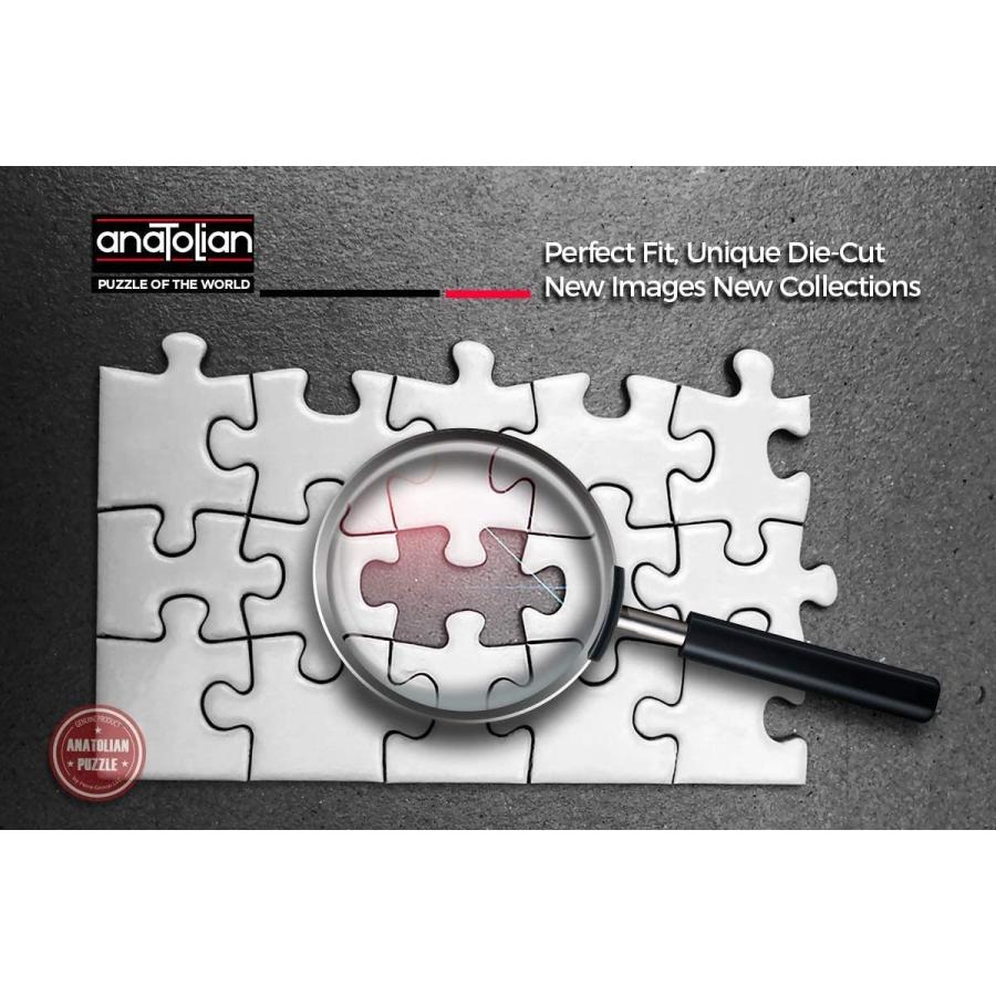 ジグソーパズル 海外製 アメリカ 4557 Anatolian Puzzle -European World 1500 Piece Jigsaw Puzzle #の画像