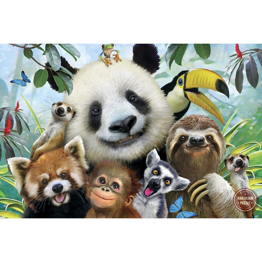 ジグソーパズル 海外製 アメリカ 3596 Anatolian Puzzle -Zoo Selfie 500 Piece Jigsaw Puzzle # 3596_1