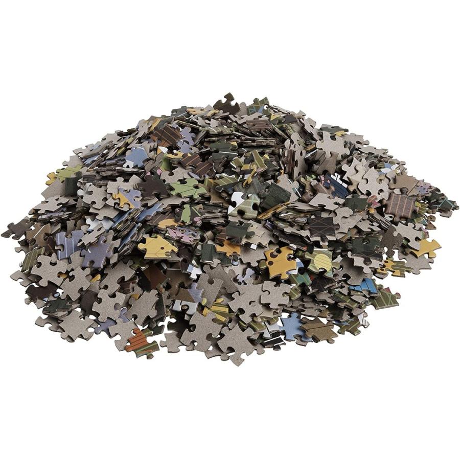 ジグソーパズル 海外製 アメリカ AA638 Charley Harper: The Rocky Mountains 1000-pc Jigsaw Puzzle_3