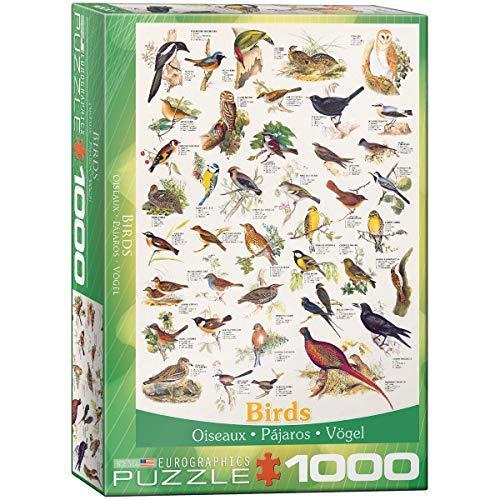 ジグソーパズル 海外製 アメリカ 6000-1259 EuroGraphics Birds Fields and Gardens Puzzle (1000-Piec