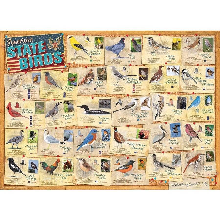 ジグソーパズル 海外製 アメリカ 6000-5327 American State Birds by David Sibley_1