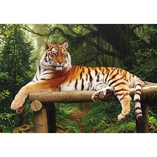 ジグソーパズル 海外製 アメリカ 8410514 Turner Photographic Majestic Tiger Puzzle - 1000 PC (8410