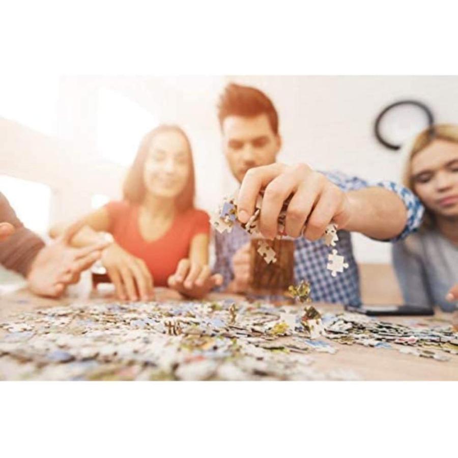 ジグソーパズル 海外製 アメリカ 10527 TREFL 1000 Piece Jigsaw Puzzle， Sunny Embankment， Coastal C_2