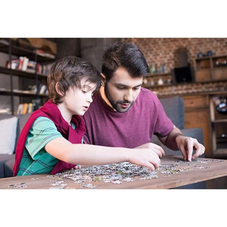 ジグソーパズル 海外製 アメリカ 10527 TREFL 1000 Piece Jigsaw Puzzle， Sunny Embankment， Coastal C_3