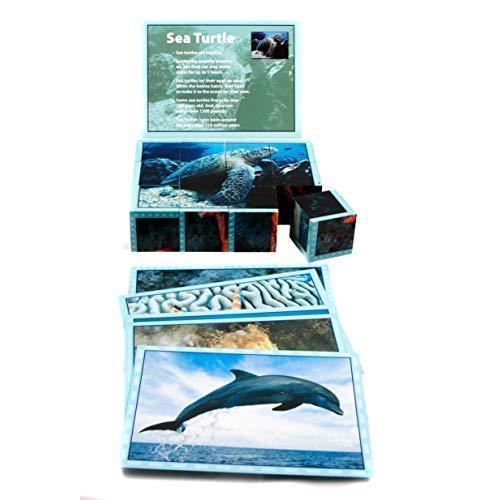 ジグソーパズル 海外製 アメリカ CLM410 Stages Learning Real Picture Sea Life Wooden Cube Language
